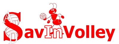 Logo della SavInVolley